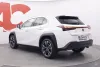 Lexus UX 250h Business Thumbnail 3